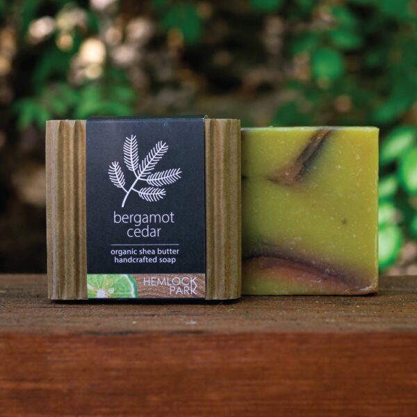 Bergamot Cedar | Organic Shea Butter Soap - Image 2