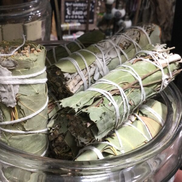 Eucalyptus