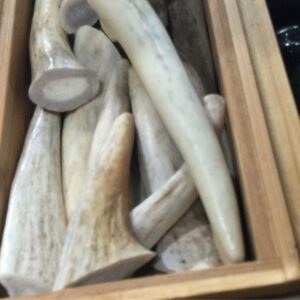 Antler